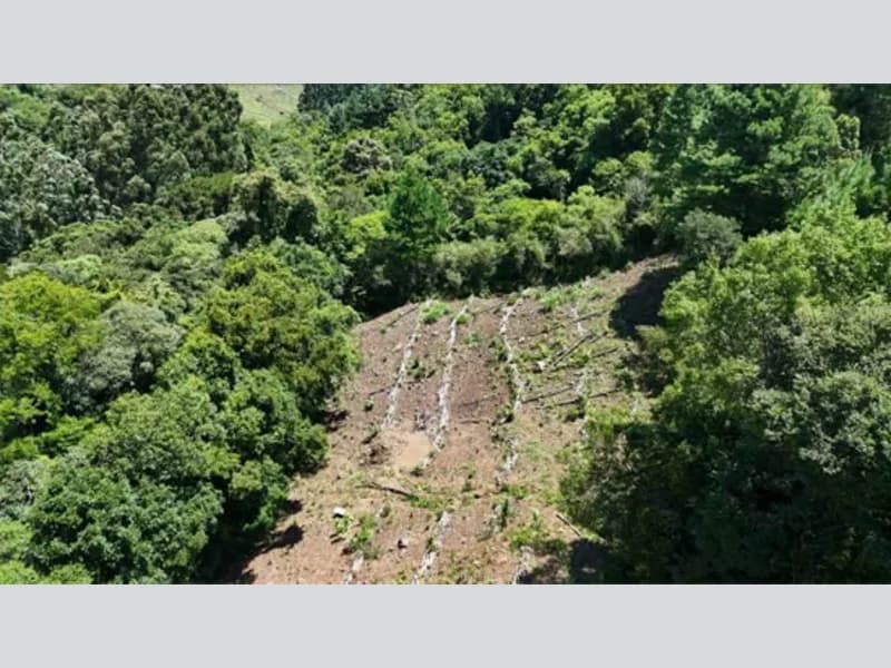 Foto 13 de 20: Terreno em leilão em Riozinho - RS — Terreno - Riozinho - RS