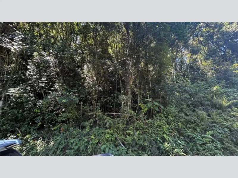 Foto 16 de 20: Terreno em leilão em Riozinho - RS — Terreno - Riozinho - RS