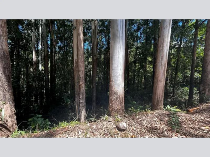 Foto 20 de 20: Terreno em leilão em Riozinho - RS — Terreno - Riozinho - RS