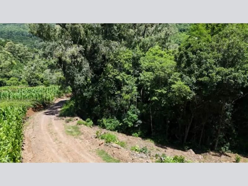 Foto 18 de 20: Terreno em leilão em Riozinho - RS — Terreno - Riozinho - RS