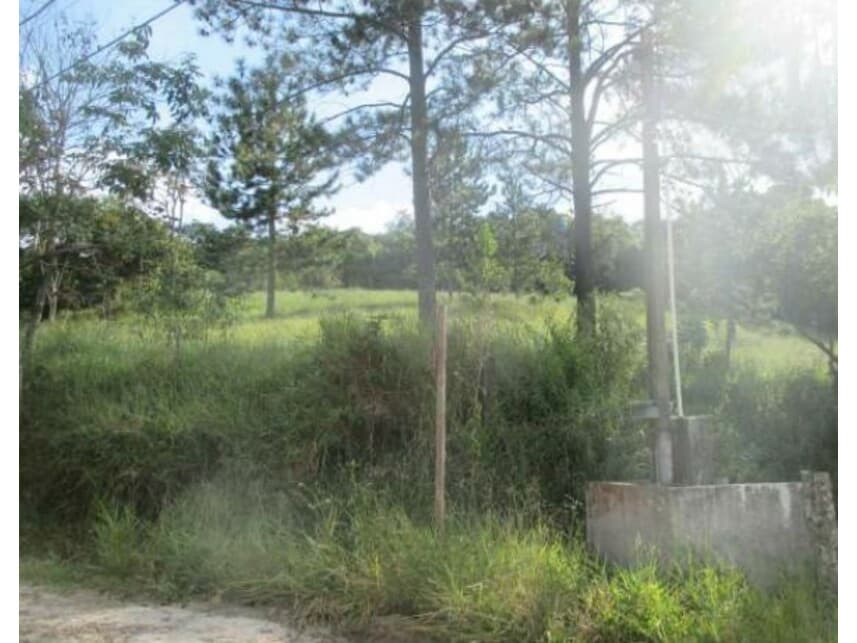 Area Rural em leilão em São Roque - SP — Sítio à venda em leilão