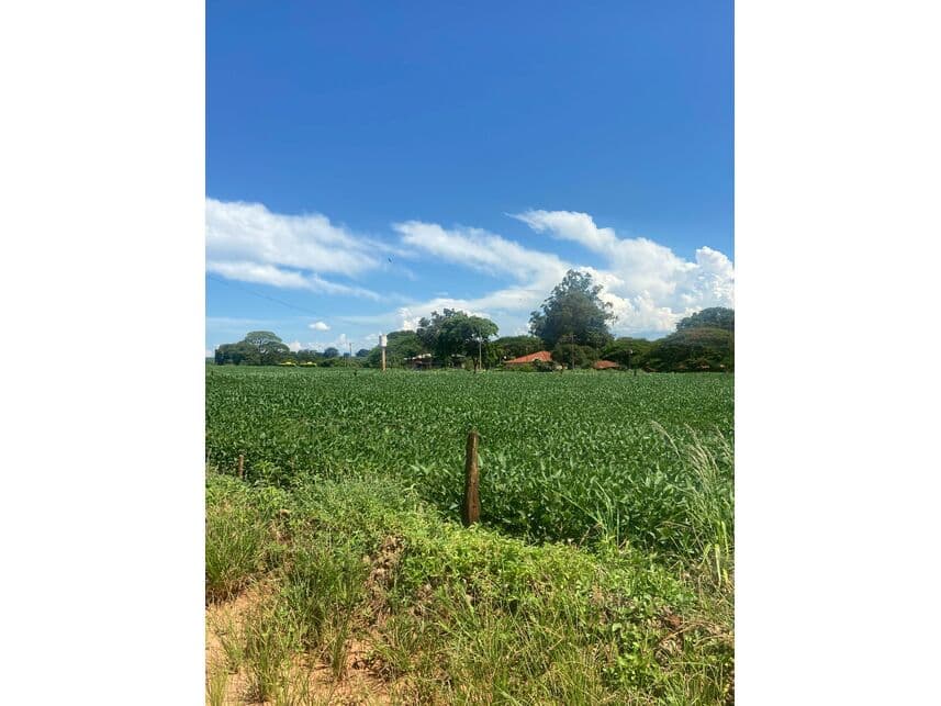Area Rural em leilão em Maracaí - SP — Gleba de Terras à venda em leilão
