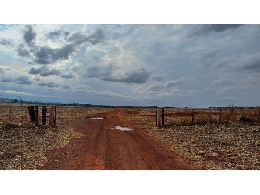 Area Rural em leilão em Montividiu - GO — Fazenda à venda em leilão