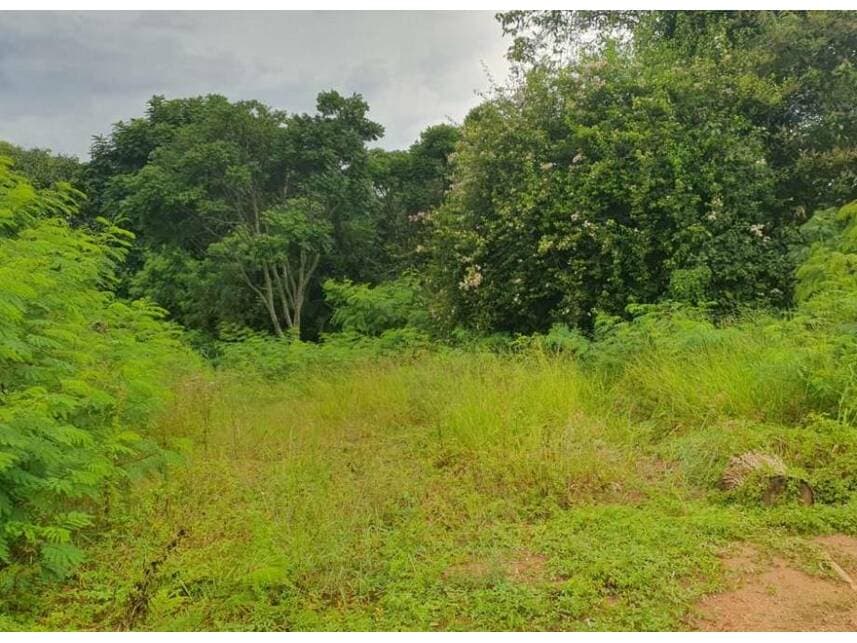 Foto 7 de 21: Area Rural em leilão em Sorocaba - SP — Área Rural à venda em leilão