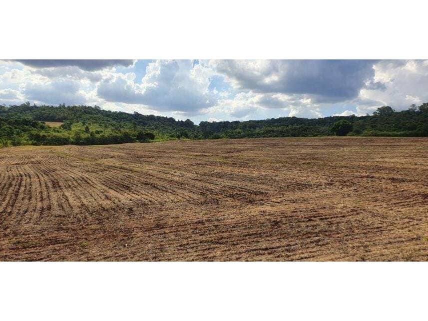 Foto 9 de 9: Terreno em leilão em Maringá - PR — Terreno à venda em leilão