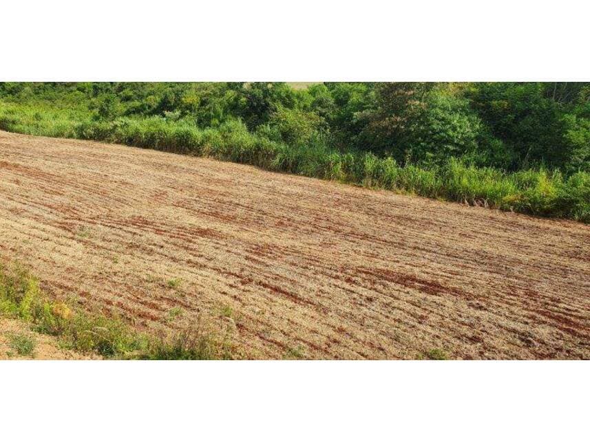 Foto 4 de 9: Terreno em leilão em Maringá - PR — Terreno à venda em leilão