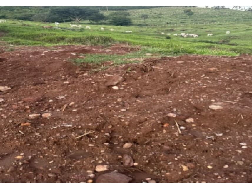 Foto 2 de 3: Area Rural em leilão em Hidrolina - GO — Área Rural à venda em leilão