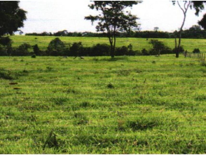 Foto 4 de 5: Area Rural em leilão em Colorado Do Oeste - RO — Área Rural à venda em leilão