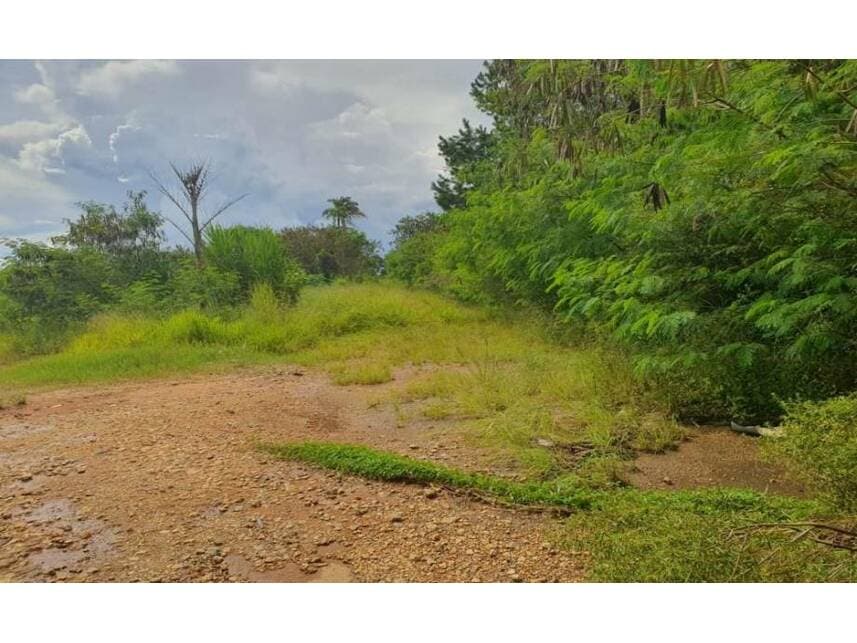 Foto 6 de 21: Area Rural em leilão em Sorocaba - SP — Área Rural à venda em leilão