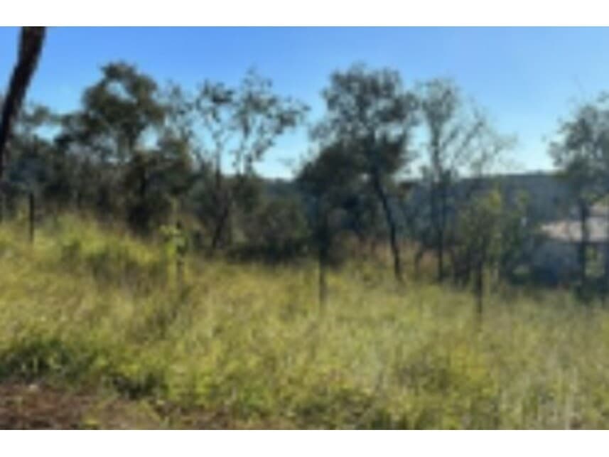 Foto 1 de 2: Terreno em leilão em Mário Campos - MG — Terreno à venda em leilão