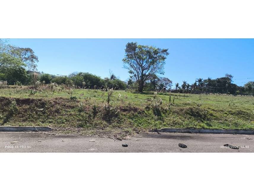 Foto 11 de 13: Terreno em leilão em Pérola - PR — Terreno à venda em leilão