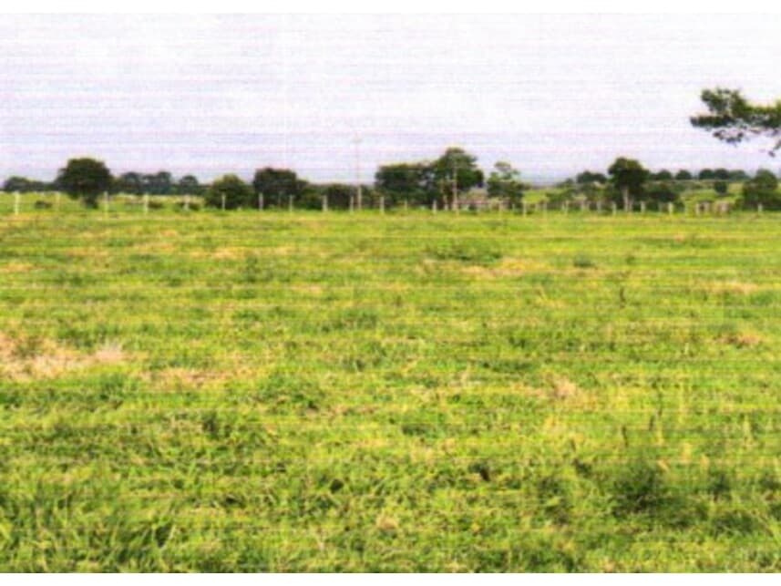 Foto 3 de 5: Area Rural em leilão em Colorado Do Oeste - RO — Área Rural à venda em leilão