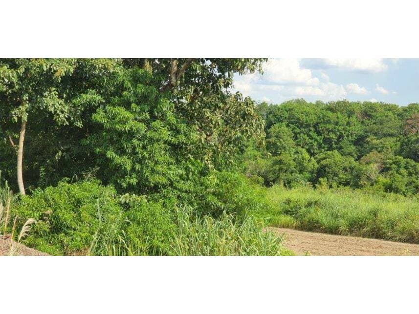 Foto 3 de 9: Terreno em leilão em Maringá - PR — Terreno à venda em leilão