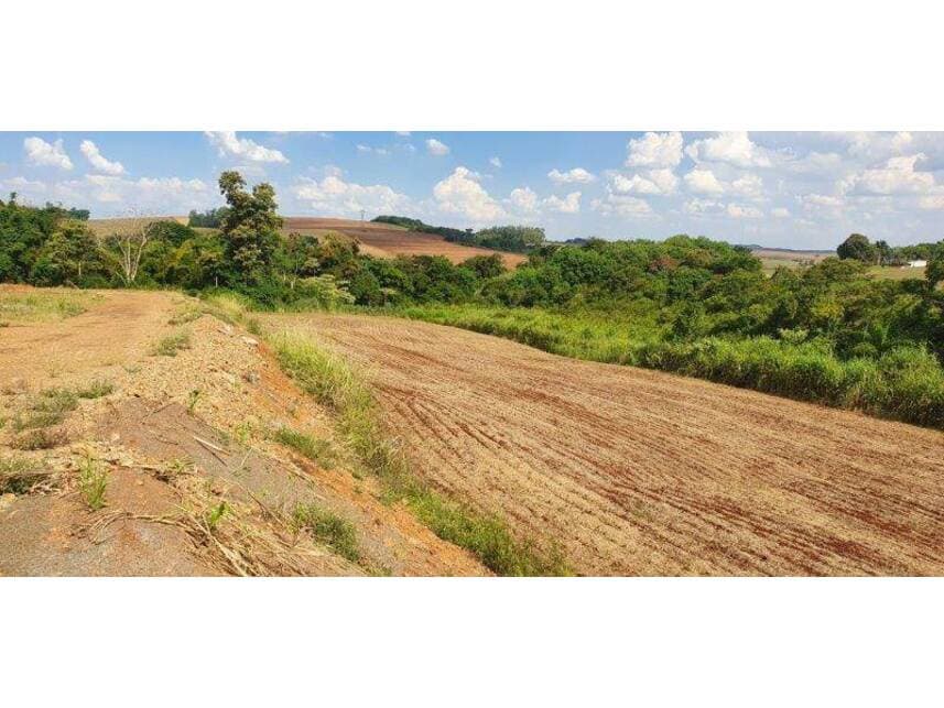 Foto 5 de 9: Terreno em leilão em Maringá - PR — Terreno à venda em leilão