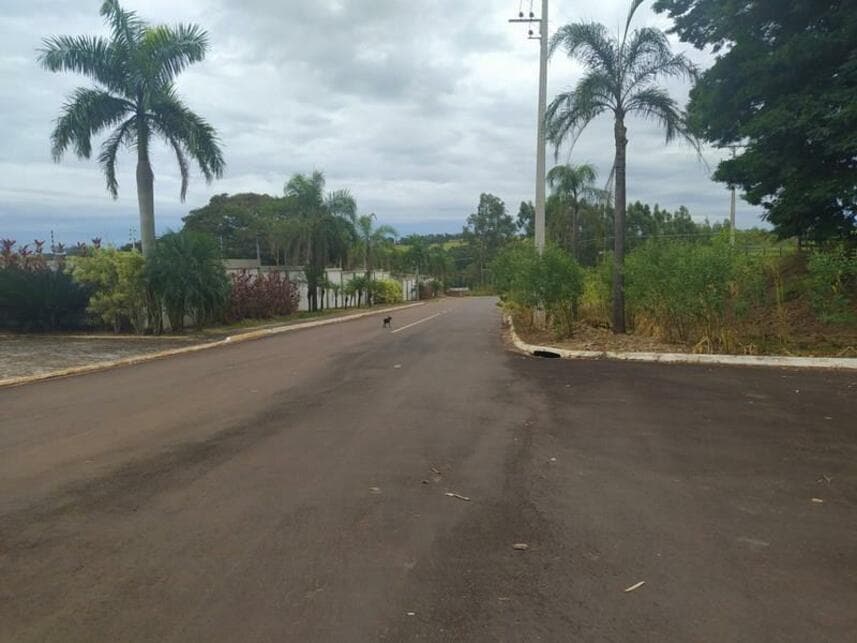Foto 3 de 13: Terreno em leilão em Pérola - PR — Terreno à venda em leilão
