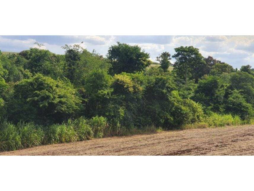 Foto 7 de 9: Terreno em leilão em Maringá - PR — Terreno à venda em leilão