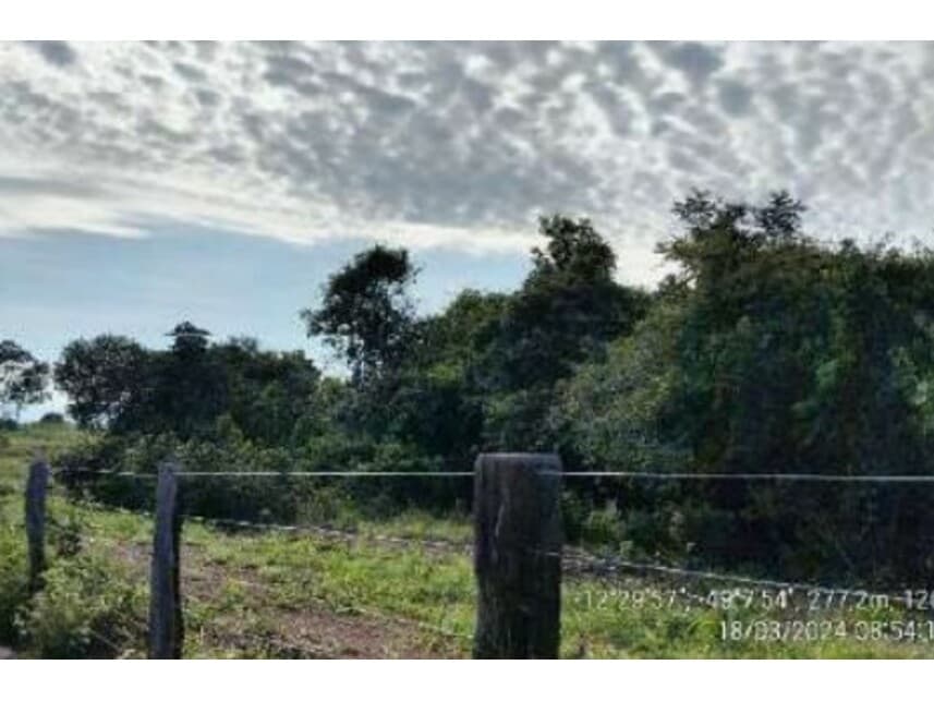 Foto 17 de 20: Area Rural em leilão em Alvorada - TO — Área Rural à venda em leilão