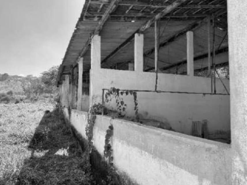 Foto 13 de 21: Area Rural em leilão em Divino - MG — Área Rural à venda em leilão