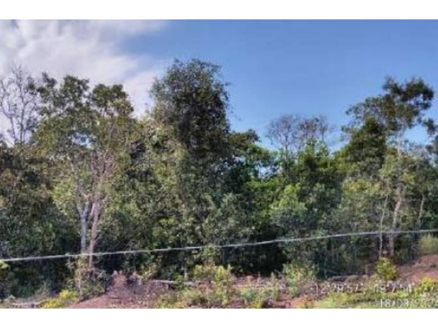 Foto 16 de 20: Area Rural em leilão em Alvorada - TO — Área Rural à venda em leilão
