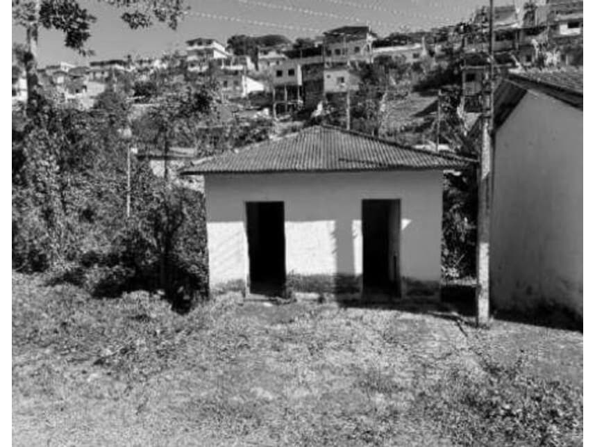 Foto 12 de 21: Area Rural em leilão em Divino - MG — Área Rural à venda em leilão