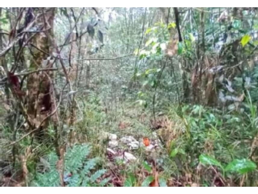 Foto 3 de 9: Terreno em leilão em São Bernardo Do Campo - SP — Terreno à venda em leilão