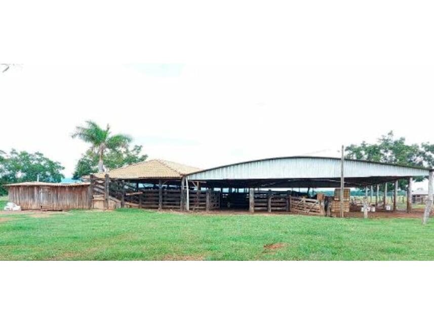 Foto 2 de 10: Area Rural em leilão em Vila Bela Da Santíssima Trindade - MT — Fazenda à venda em leilão