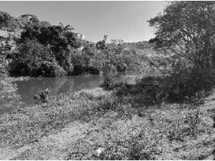Foto 2 de 21: Area Rural em leilão em Divino - MG — Área Rural à venda em leilão