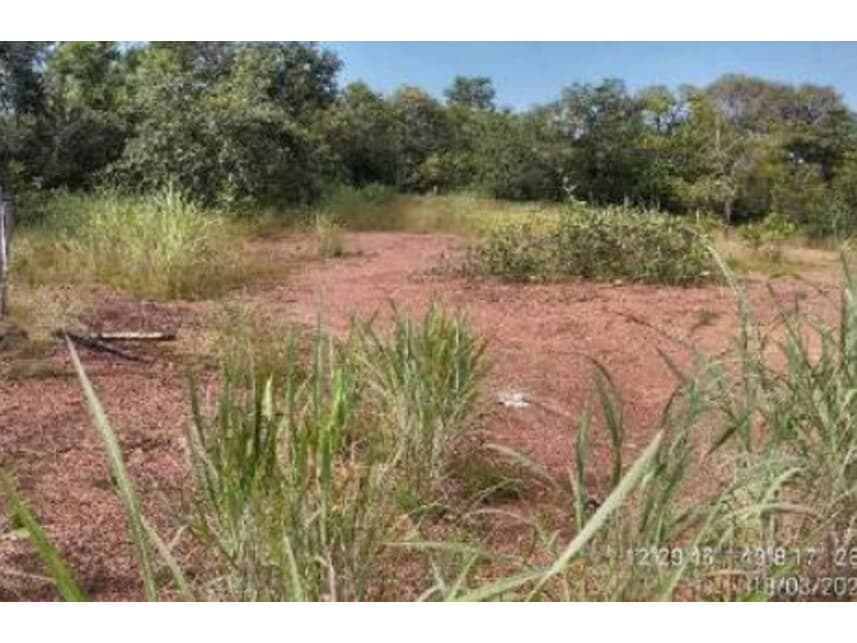 Foto 5 de 20: Area Rural em leilão em Alvorada - TO — Área Rural à venda em leilão