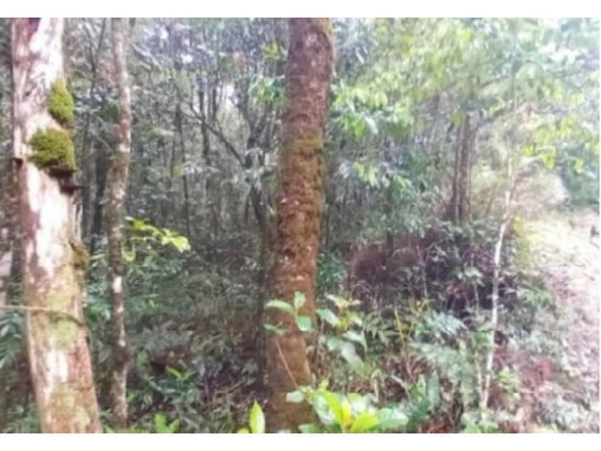 Foto 5 de 9: Terreno em leilão em São Bernardo Do Campo - SP — Terreno à venda em leilão