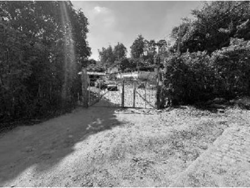 Foto 1 de 21: Area Rural em leilão em Divino - MG — Área Rural à venda em leilão