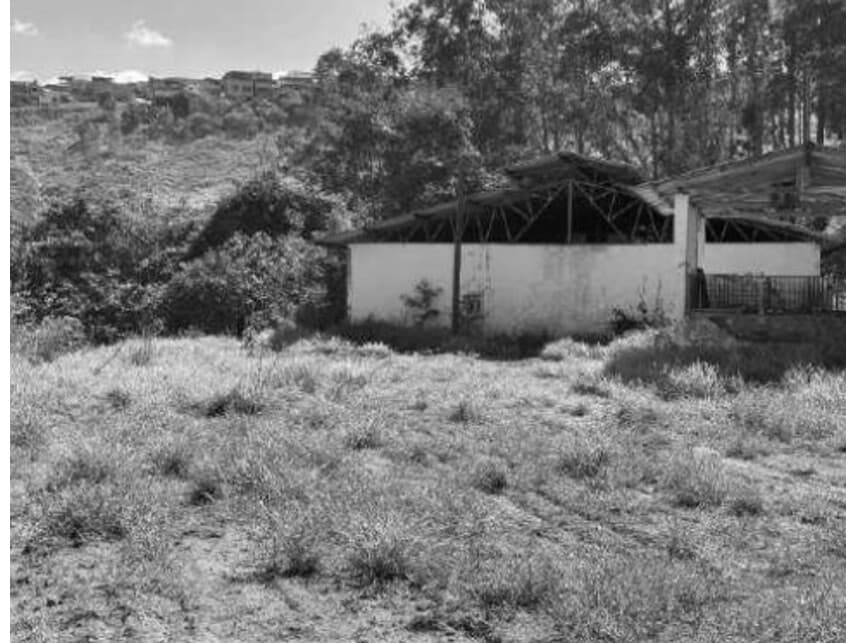 Foto 18 de 21: Area Rural em leilão em Divino - MG — Área Rural à venda em leilão