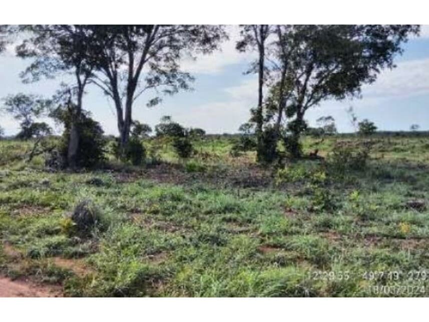 Foto 13 de 20: Area Rural em leilão em Alvorada - TO — Área Rural à venda em leilão
