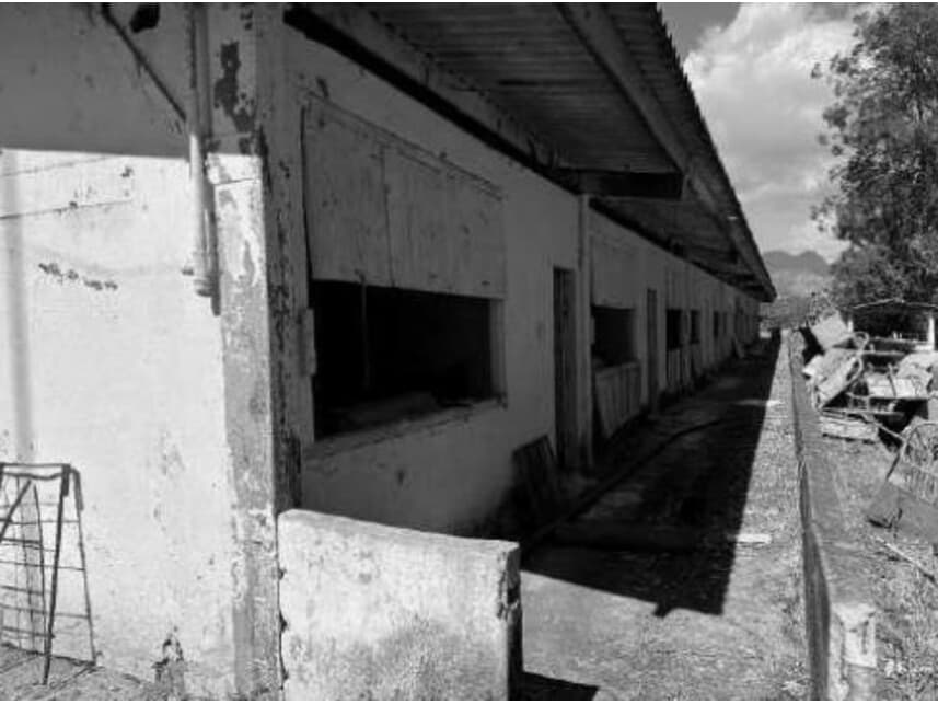 Foto 20 de 21: Area Rural em leilão em Divino - MG — Área Rural à venda em leilão
