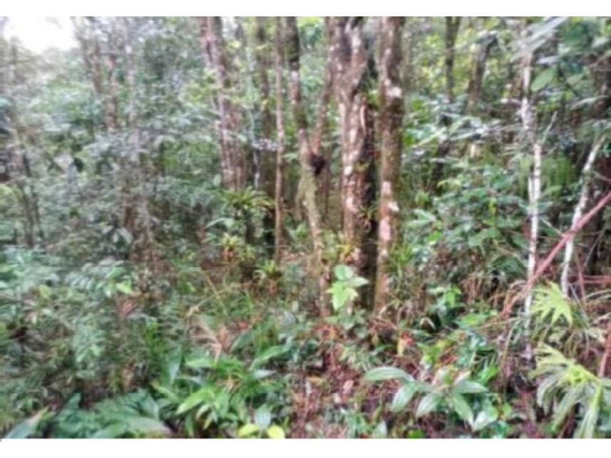Foto 4 de 9: Terreno em leilão em São Bernardo Do Campo - SP — Terreno à venda em leilão