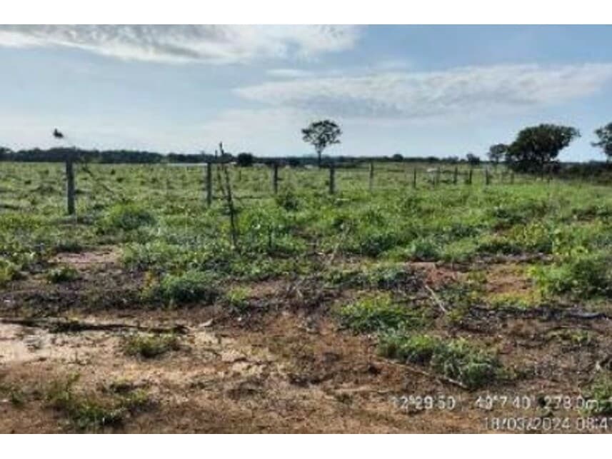 Foto 10 de 20: Area Rural em leilão em Alvorada - TO — Área Rural à venda em leilão