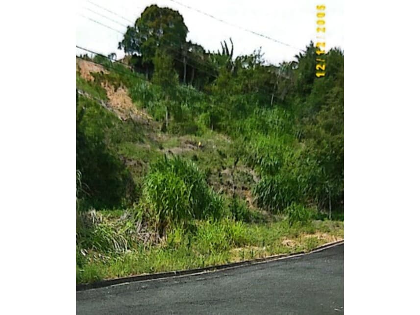 Foto 1 de 2: Terreno em leilão em Monte Alegre Do Sul - SP — Terreno à venda em leilão