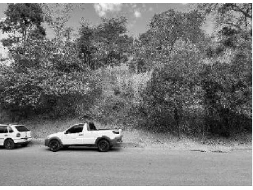 Foto 2 de 2: Terreno em leilão em Carangola - MG — Terreno à venda em leilão