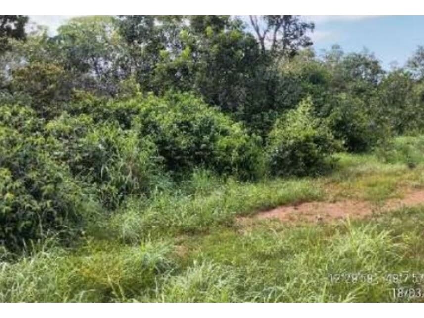 Foto 19 de 20: Area Rural em leilão em Alvorada - TO — Área Rural à venda em leilão