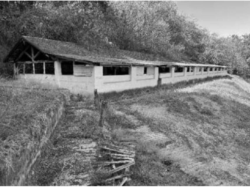 Foto 8 de 21: Area Rural em leilão em Divino - MG — Área Rural à venda em leilão
