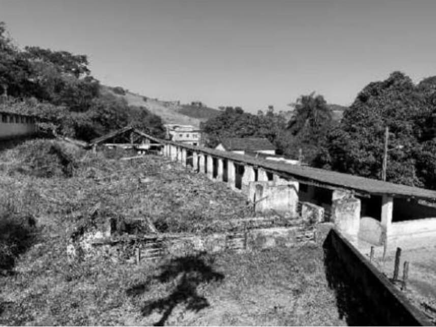 Foto 6 de 21: Area Rural em leilão em Divino - MG — Área Rural à venda em leilão