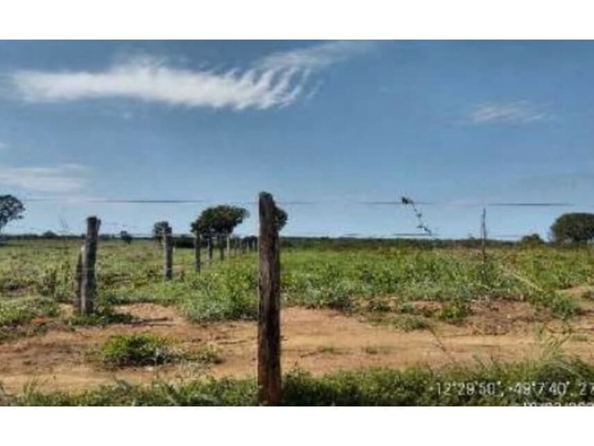 Foto 9 de 20: Area Rural em leilão em Alvorada - TO — Área Rural à venda em leilão