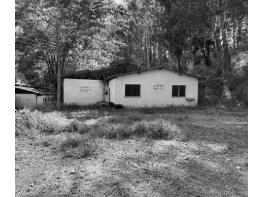 Foto 15 de 21: Area Rural em leilão em Divino - MG — Área Rural à venda em leilão
