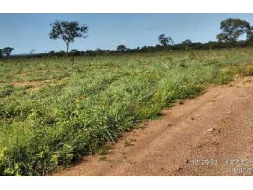 Foto 12 de 20: Area Rural em leilão em Alvorada - TO — Área Rural à venda em leilão