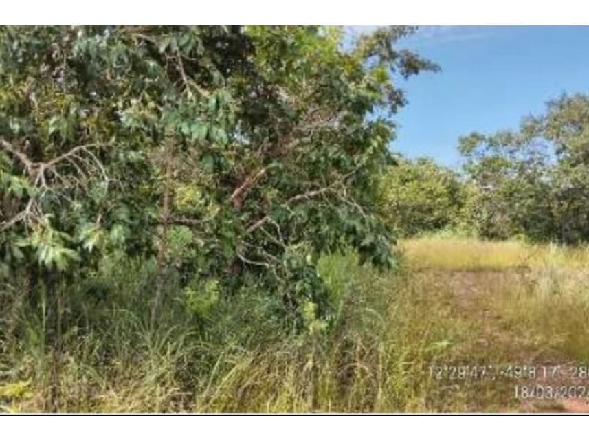 Foto 4 de 20: Area Rural em leilão em Alvorada - TO — Área Rural à venda em leilão