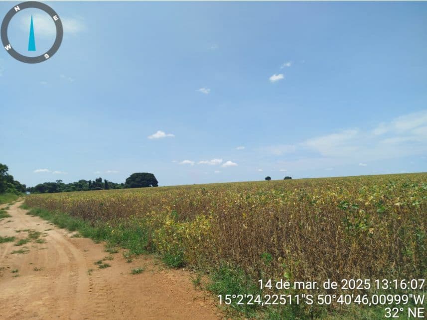 Foto 11 de 17: Area Rural em leilão em Araguapaz - GO — Área Rural à venda em leilão