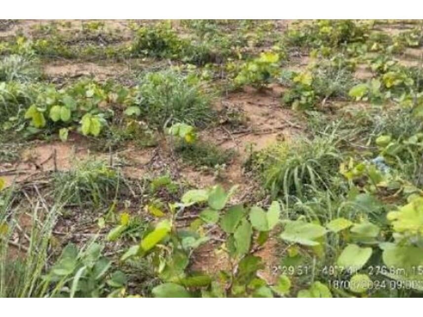 Foto 20 de 20: Area Rural em leilão em Alvorada - TO — Área Rural à venda em leilão