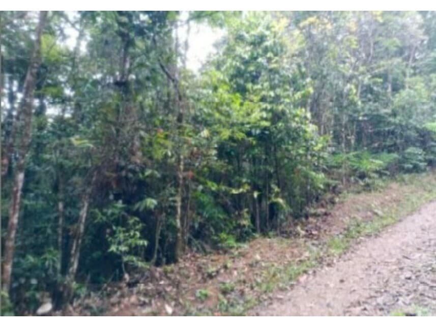Foto 8 de 9: Terreno em leilão em São Bernardo Do Campo - SP — Terreno à venda em leilão