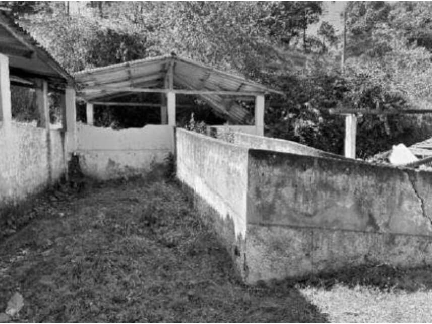 Foto 11 de 21: Area Rural em leilão em Divino - MG — Área Rural à venda em leilão