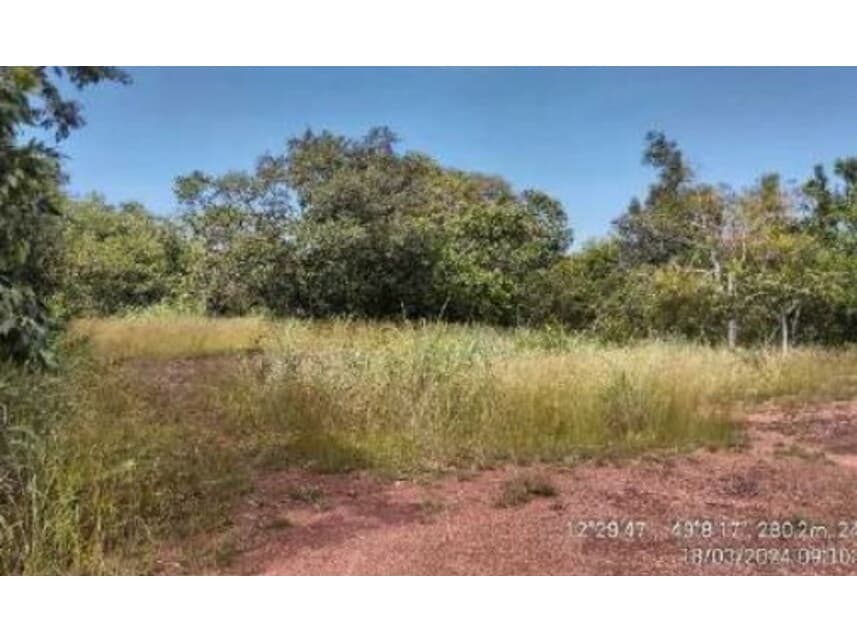 Foto 3 de 20: Area Rural em leilão em Alvorada - TO — Área Rural à venda em leilão