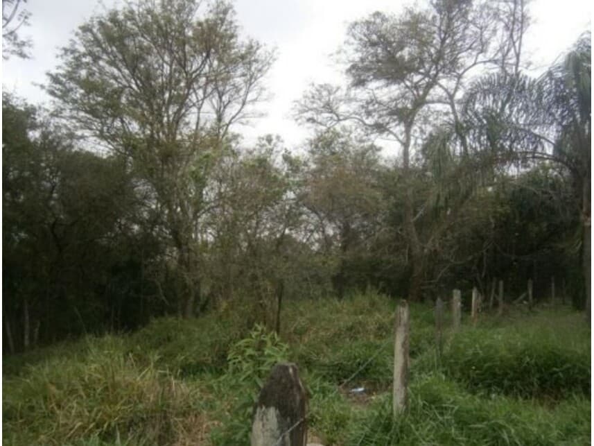Foto 10 de 11: Terreno em leilão em Santana De Parnaíba - SP — Terreno à venda em leilão